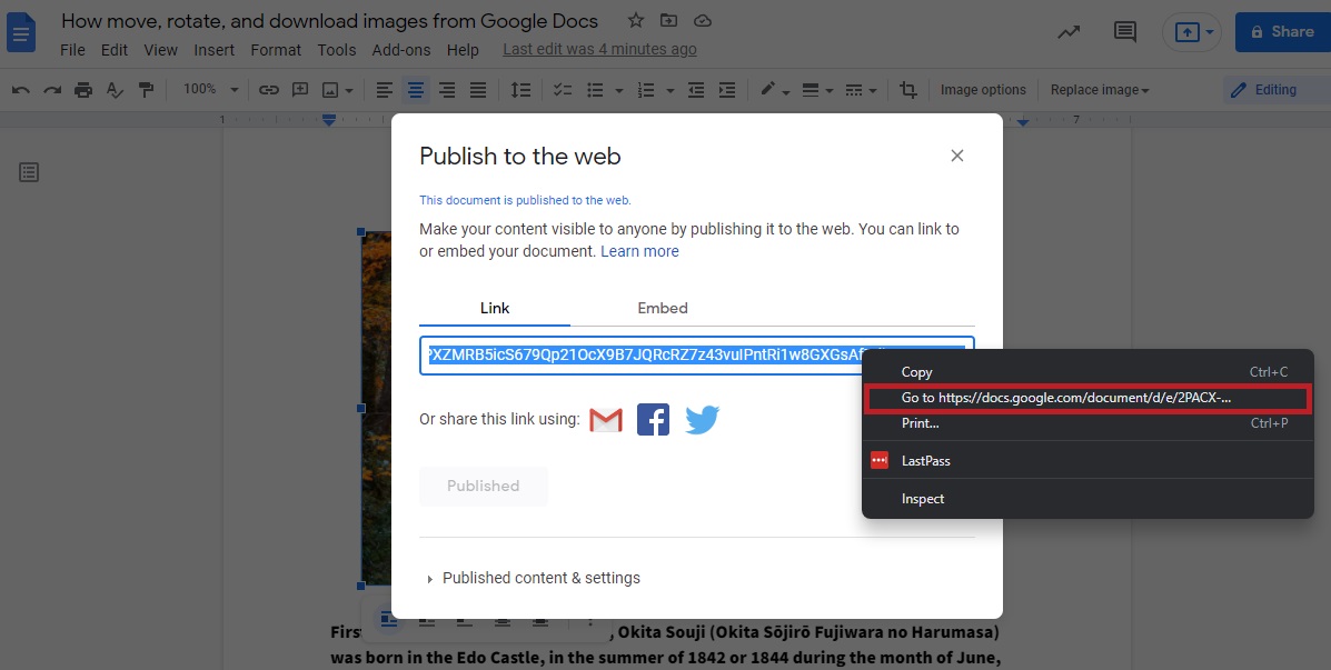 vaya a su documento publicado en la web desde google docs