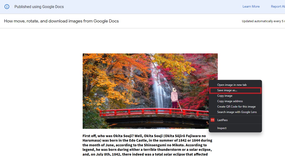 clic derecho en la imagen y guardar como