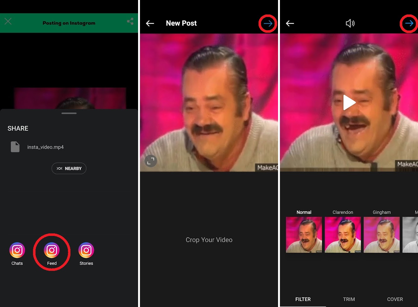 edite su gif giphy como un video dentro de la aplicación de instagram
