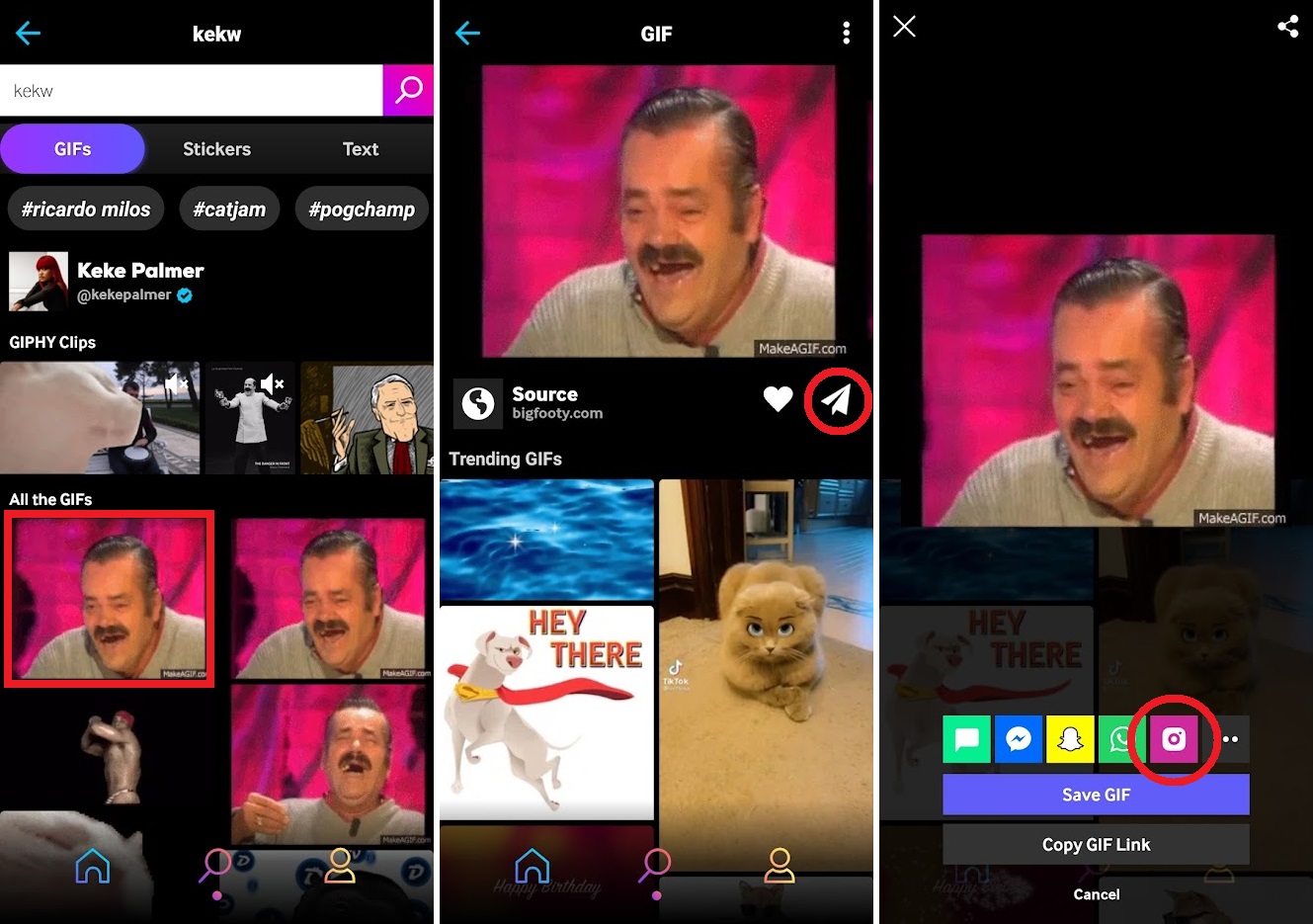 ubicación del botón de compartir del avión en un gif en giphy