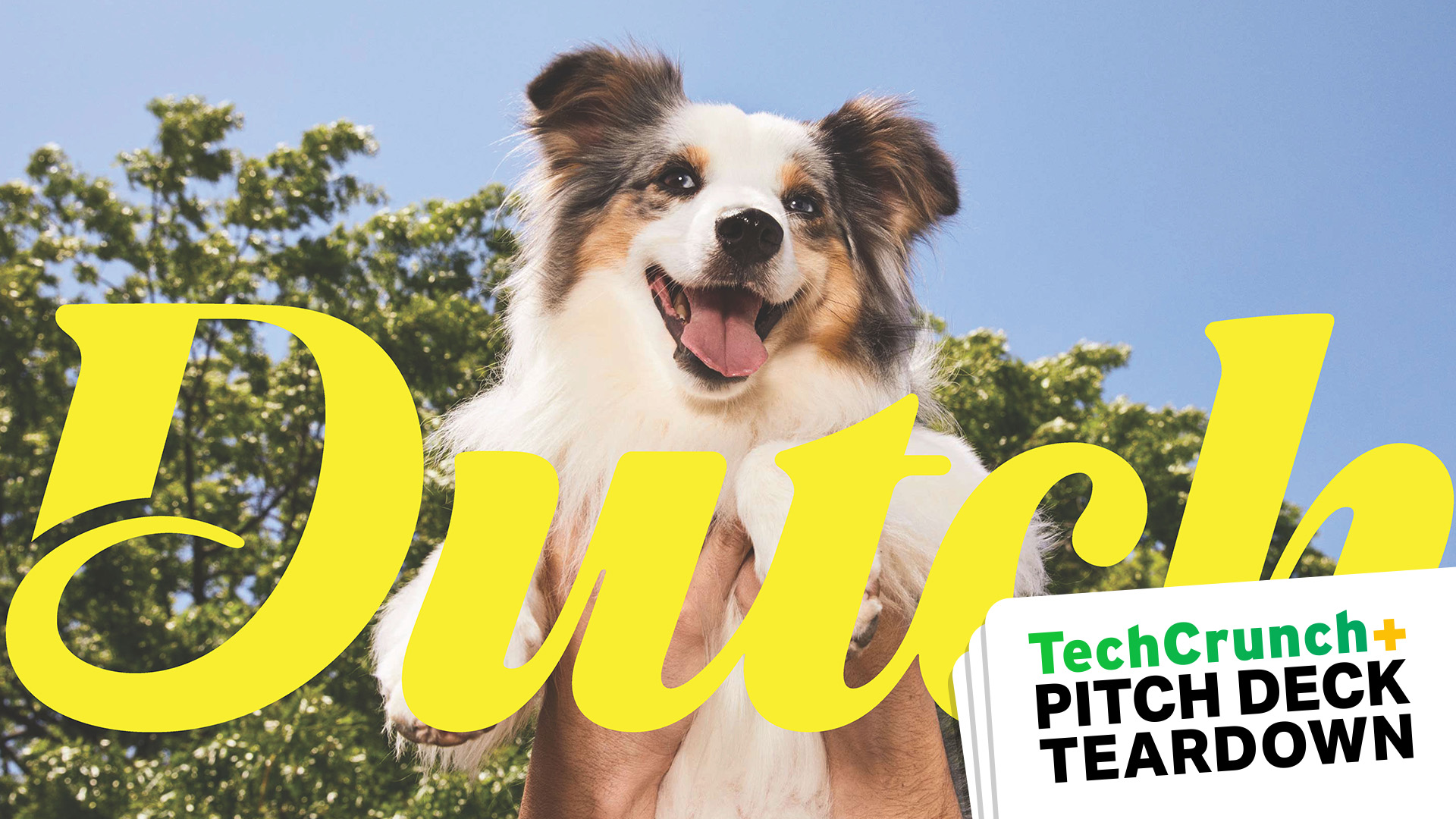 Diapositiva de la cubierta de la plataforma de lanzamiento con un lindo perro, la palabra DUTCH y TechCrunch Pitch Deck Teardown superpuesto
