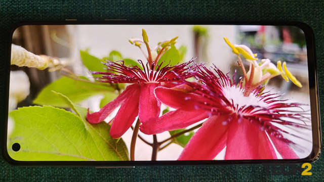 Pantalla OnePlus Nord 2T