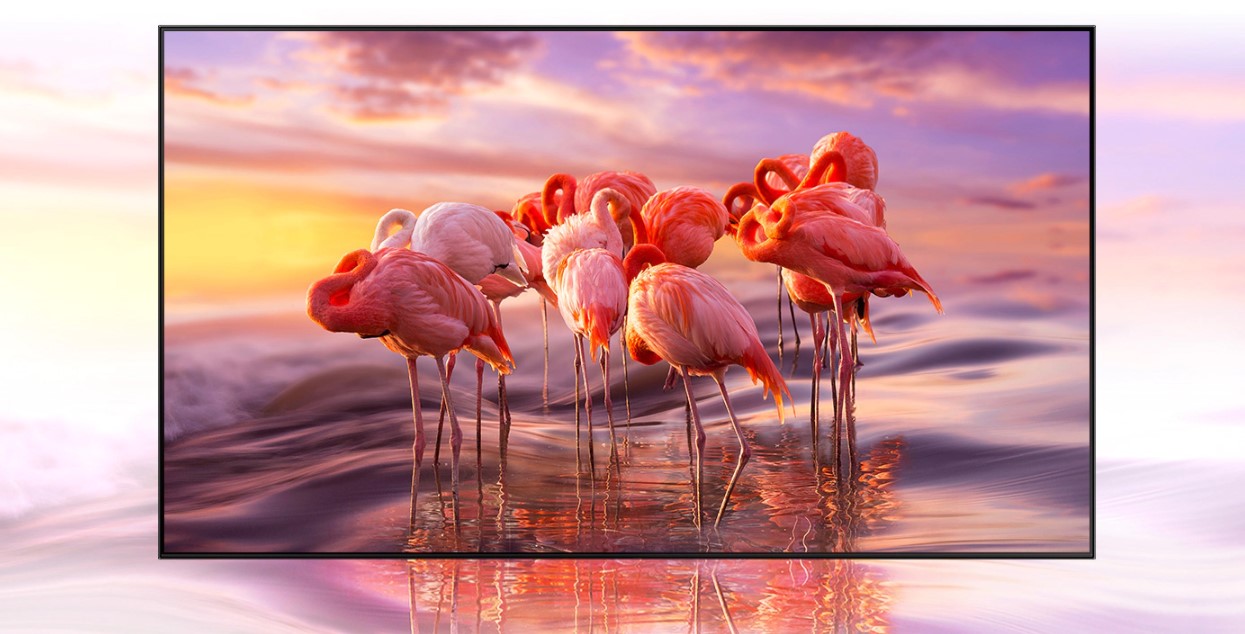 Samsung 55 pulgadas Clase Q60A QLED 4K Smart TV 2021