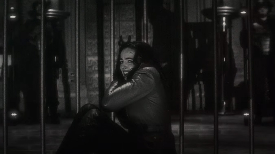 hombre lobo de noche nuevos espectáculos de transmisión de halloween