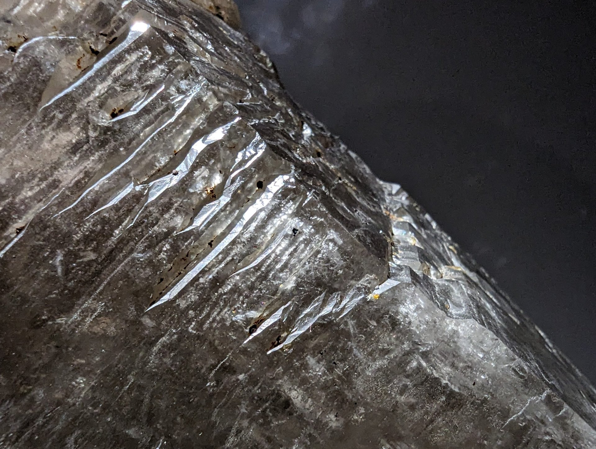 Piedra macro 2 de Google Pixel 7 Pro