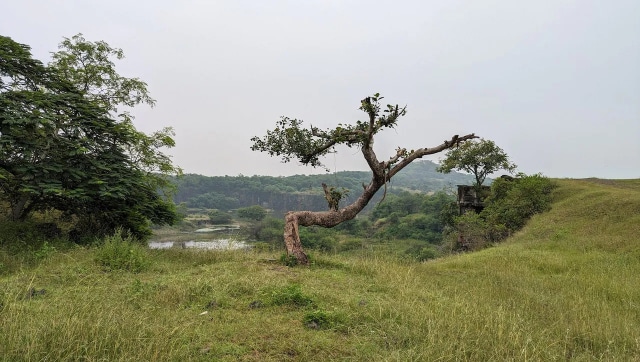 La lente principal (Imagen Vijay Anand) (1)