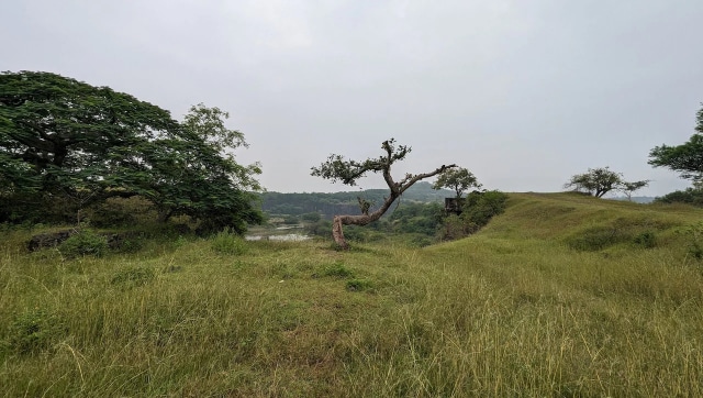 La lente ultra ancha (Imagen Vijay Anand) (1)